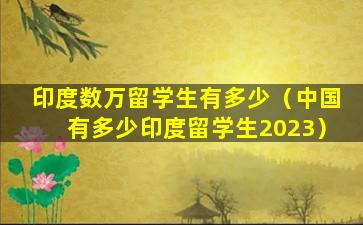 印度数万留学生有多少（中国有多少印度留学生2023）