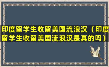 印度留学生收留美国流浪汉（印度留学生收留美国流浪汉是真的吗）