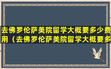 去佛罗伦萨美院留学大概要多少费用（去佛罗伦萨美院留学大概要多少费用一年）