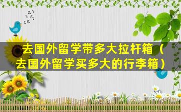 去国外留学带多大拉杆箱（去国外留学买多大的行李箱）