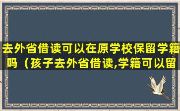 去外省借读可以在原学校保留学籍吗（孩子去外省借读,学籍可以留原学校不动吗）