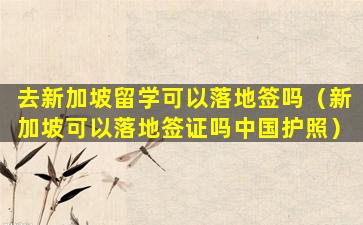 去新加坡留学可以落地签吗（新加坡可以落地签证吗中国护照）