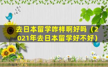 去日本留学咋样啊好吗（2021年去日本留学好不好）