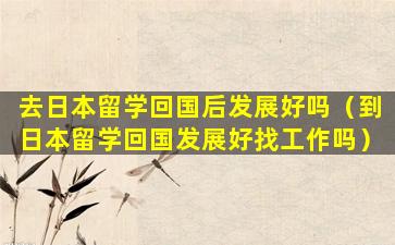 去日本留学回国后发展好吗（到日本留学回国发展好找工作吗）