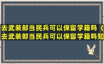 去武装部当民兵可以保留学籍吗（去武装部当民兵可以保留学籍吗知乎）