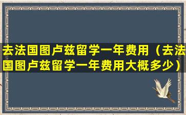 去法国图卢兹留学一年费用（去法国图卢兹留学一年费用大概多少）