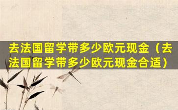 去法国留学带多少欧元现金（去法国留学带多少欧元现金合适）