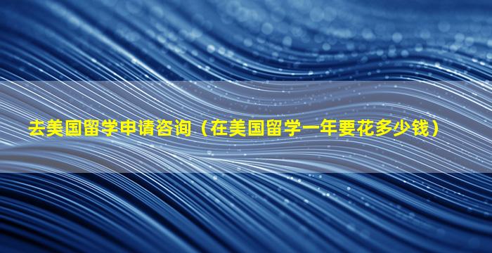 去美国留学申请咨询（在美国留学一年要花多少钱）