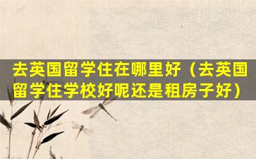去英国留学住在哪里好（去英国留学住学校好呢还是租房子好）