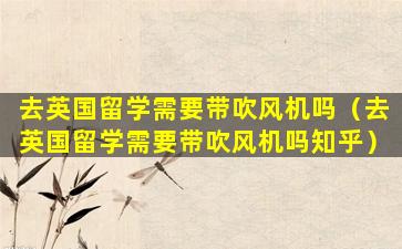去英国留学需要带吹风机吗（去英国留学需要带吹风机吗知乎）