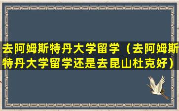 去阿姆斯特丹大学留学（去阿姆斯特丹大学留学还是去昆山杜克好）