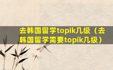 去韩国留学topik几级（去韩国留学需要topik几级）
