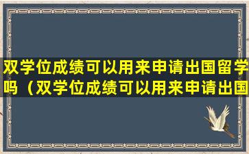 双学位成绩可以用来申请出国留学吗（双学位成绩可以用来申请出国留学吗英语）