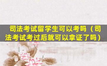 司法考试留学生可以考吗（司法考试考过后就可以拿证了吗）