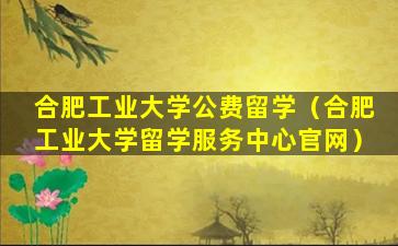 合肥工业大学公费留学（合肥工业大学留学服务中心官网）