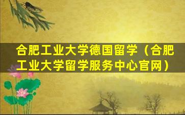 合肥工业大学德国留学（合肥工业大学留学服务中心官网）