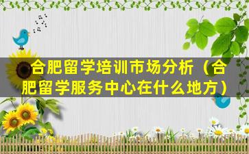 合肥留学培训市场分析（合肥留学服务中心在什么地方）