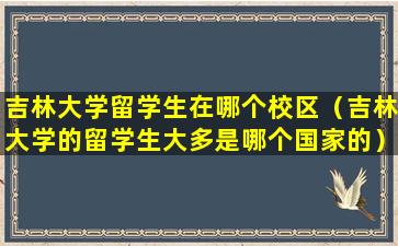 吉林大学留学生在哪个校区（吉林大学的留学生大多是哪个国家的）
