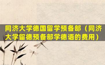 同济大学德国留学预备部（同济大学留德预备部学德语的费用）