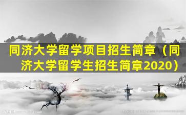 同济大学留学项目招生简章（同济大学留学生招生简章2020）