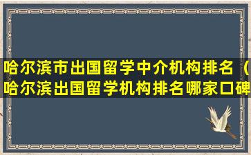 哈尔滨市出国留学中介机构排名（哈尔滨出国留学机构排名哪家口碑）