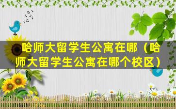 哈师大留学生公寓在哪（哈师大留学生公寓在哪个校区）