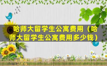 哈师大留学生公寓费用（哈师大留学生公寓费用多少钱）