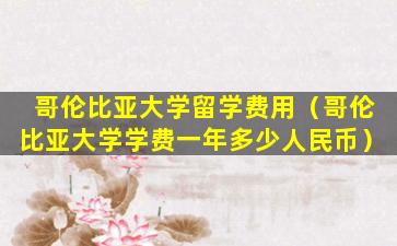 哥伦比亚大学留学费用（哥伦比亚大学学费一年多少人民币）