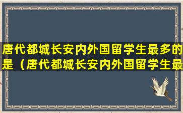唐代都城长安内外国留学生最多的是（唐代都城长安内外国留学生最多的是什么人）