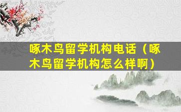 啄木鸟留学机构电话（啄木鸟留学机构怎么样啊）