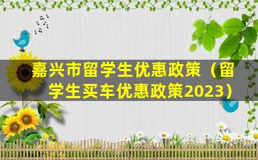 嘉兴市留学生优惠政策（留学生买车优惠政策2023）