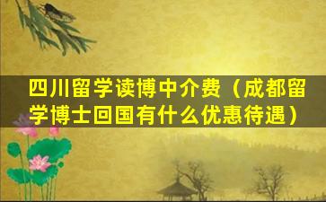 四川留学读博中介费（成都留学博士回国有什么优惠待遇）
