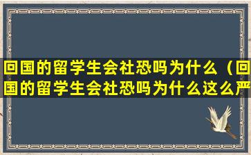 回国的留学生会社恐吗为什么（回国的留学生会社恐吗为什么这么严重）