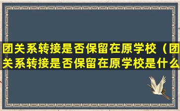 团关系转接是否保留在原学校（团关系转接是否保留在原学校是什么意思）