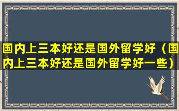 国内上三本好还是国外留学好（国内上三本好还是国外留学好一些）