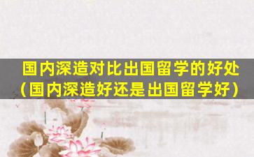 国内深造对比出国留学的好处（国内深造好还是出国留学好）