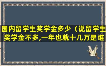 国内留学生奖学金多少（说留学生奖学金不多,一年也就十几万是谁）