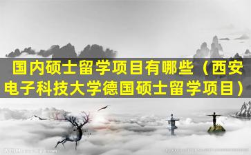 国内硕士留学项目有哪些（西安电子科技大学德国硕士留学项目）