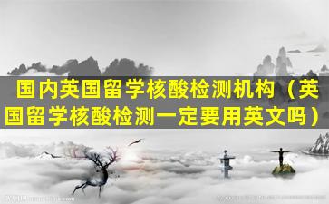 国内英国留学核酸检测机构（英国留学核酸检测一定要用英文吗）