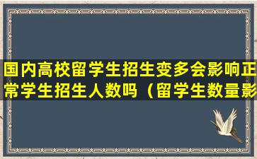 国内高校留学生招生变多会影响正常学生招生人数吗（留学生数量影响学校排名）