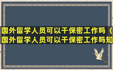 国外留学人员可以干保密工作吗（国外留学人员可以干保密工作吗知乎）