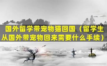 国外留学带宠物猫回国（留学生从国外带宠物回来需要什么手续）