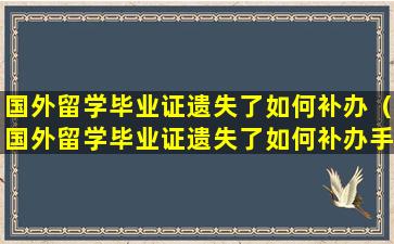 国外留学毕业证遗失了如何补办（国外留学毕业证遗失了如何补办手续）