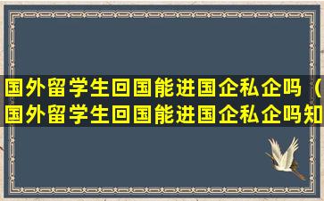 国外留学生回国能进国企私企吗（国外留学生回国能进国企私企吗知乎）