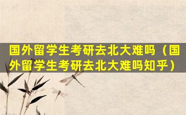 国外留学生考研去北大难吗（国外留学生考研去北大难吗知乎）