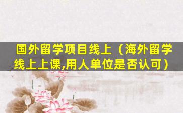 国外留学项目线上（海外留学线上上课,用人单位是否认可）