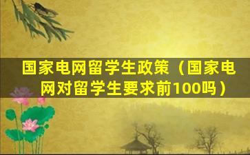 国家电网留学生政策（国家电网对留学生要求前100吗）