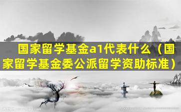 国家留学基金a1代表什么（国家留学基金委公派留学资助标准）