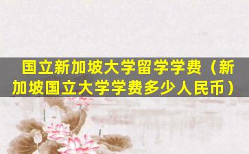 国立新加坡大学留学学费（新加坡国立大学学费多少人民币）