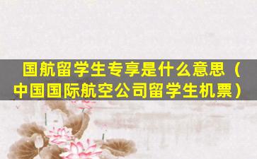国航留学生专享是什么意思（中国国际航空公司留学生机票）